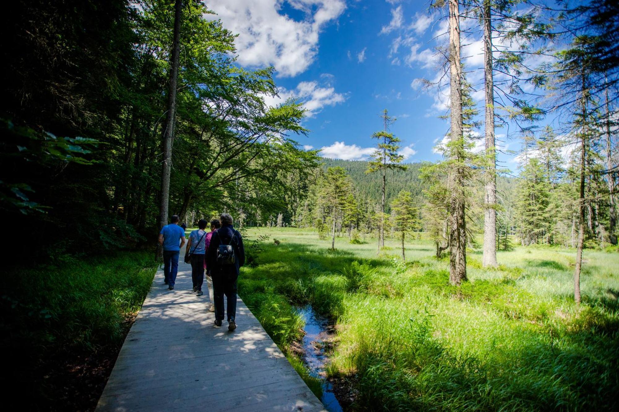 Gasthof Meindl อาร์ราค ภายนอก รูปภาพ